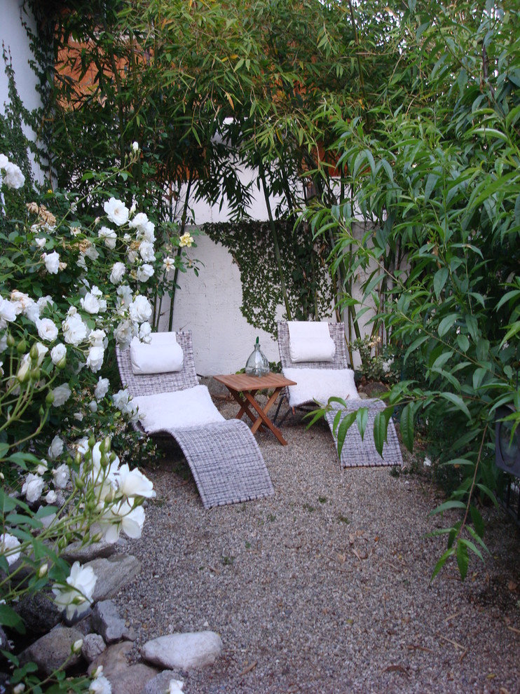 Photo of a small contemporary backyard gravel landscaping in Los Angeles.