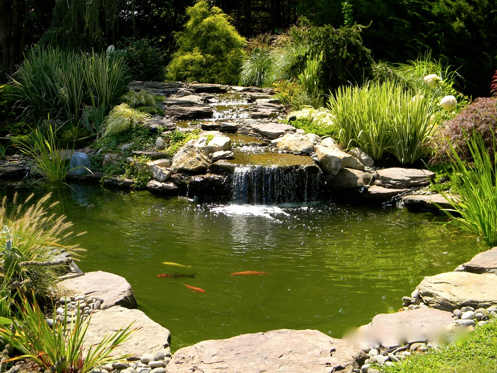 Remsenberg Koi Pond Traditional Landscape New York by AH Ponds