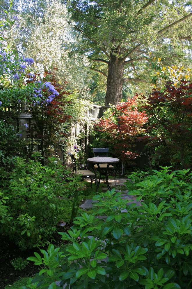 Klassischer Garten im Herbst mit Sichtschutz in San Francisco