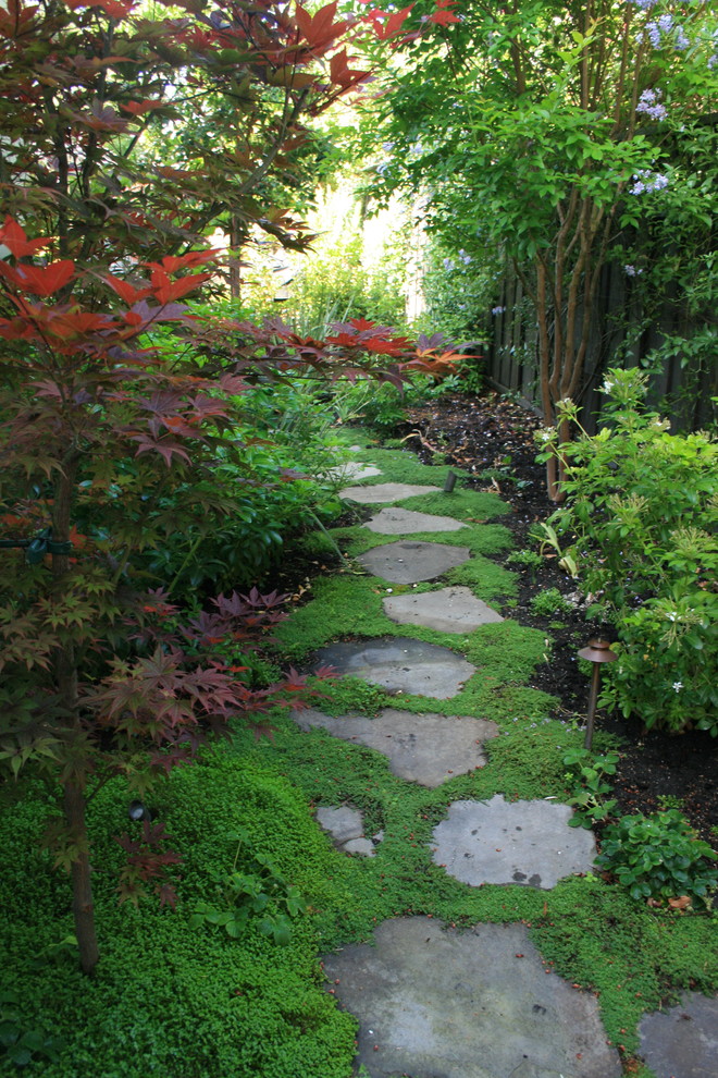 Schattiger Klassischer Garten im Herbst, hinter dem Haus mit Natursteinplatten in San Francisco