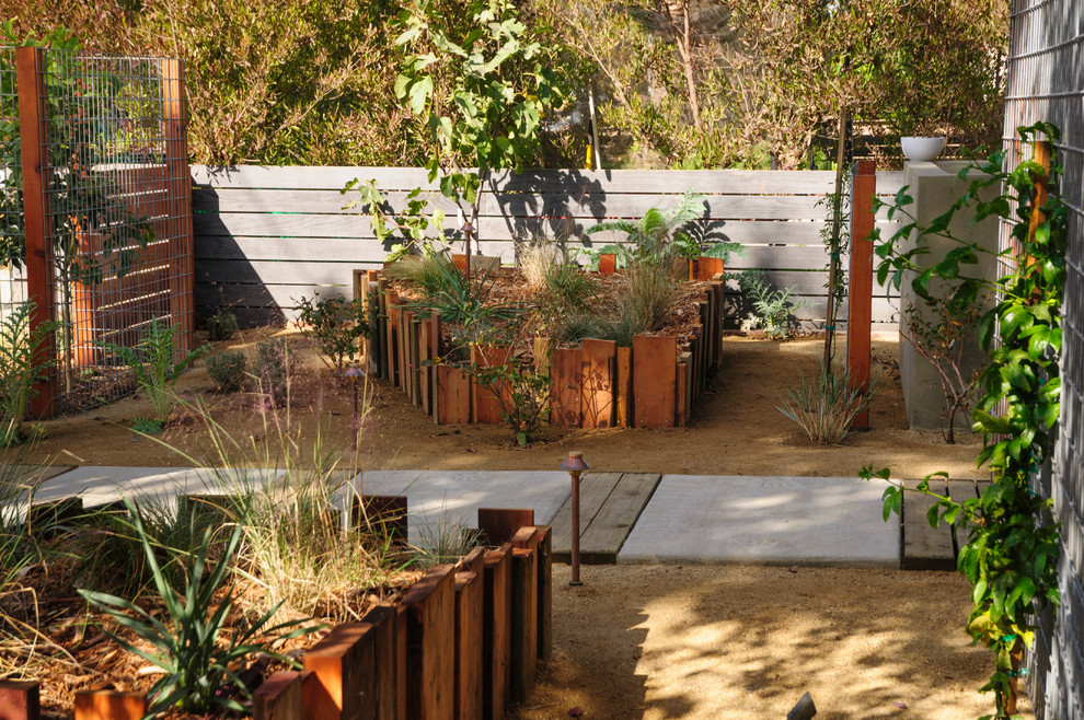 Ispirazione per un giardino minimal esposto a mezz'ombra di medie dimensioni e davanti casa con un giardino in vaso e ghiaia