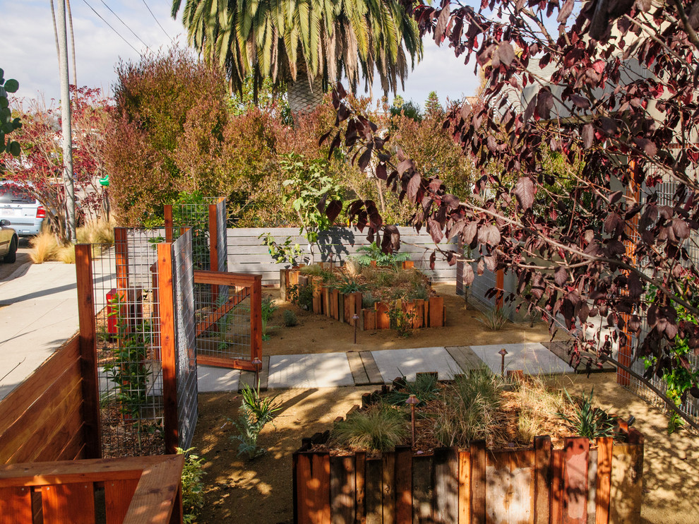На фото: участок и сад среднего размера на переднем дворе в современном стиле с растениями в контейнерах, полуденной тенью и покрытием из гравия с