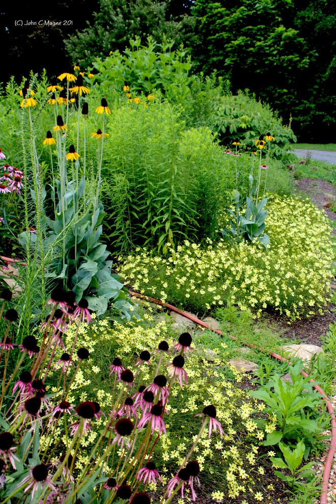Foto di un grande giardino xeriscape country esposto in pieno sole davanti casa in estate con pavimentazioni in pietra naturale