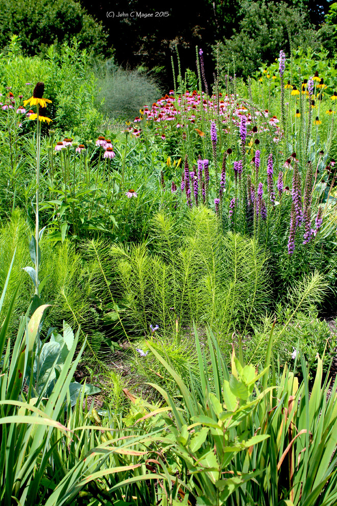 Пример оригинального дизайна: большой солнечный, летний засухоустойчивый сад на переднем дворе в стиле кантри с хорошей освещенностью и покрытием из каменной брусчатки
