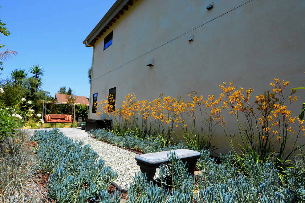 Modelo de camino de jardín de secano actual de tamaño medio en verano en patio trasero con adoquines de hormigón y exposición parcial al sol