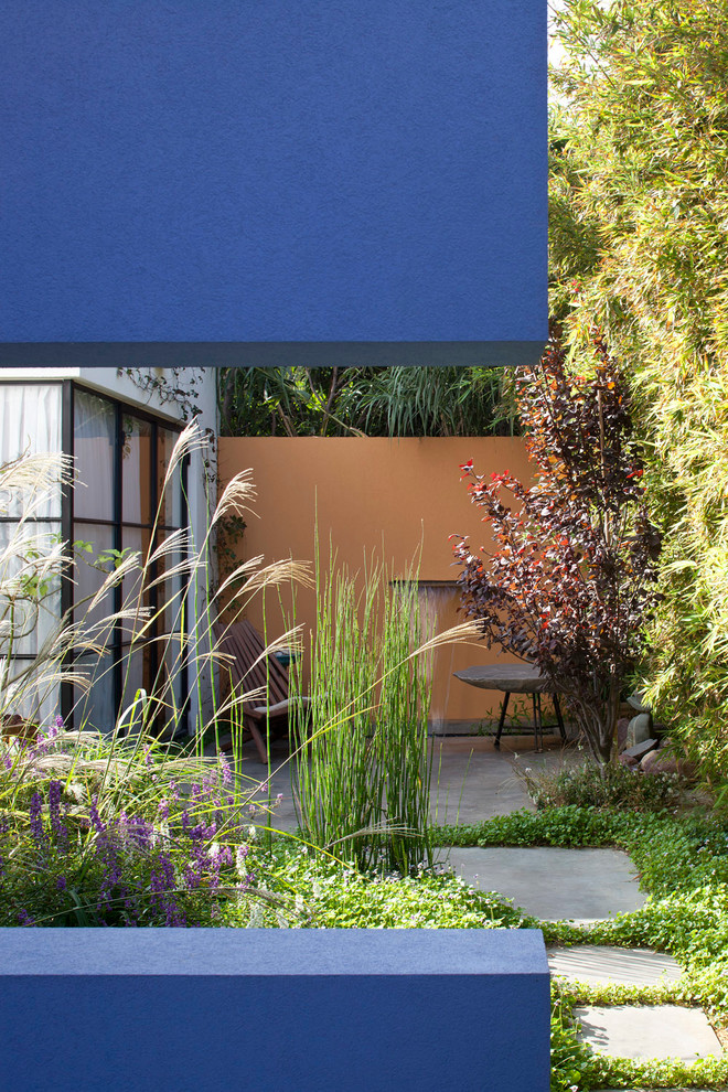 Foto di un giardino minimal dietro casa