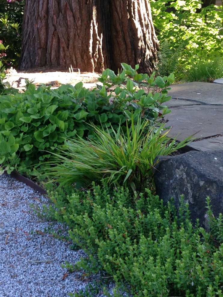 Idee per un grande laghetto da giardino classico esposto a mezz'ombra dietro casa in estate con pedane