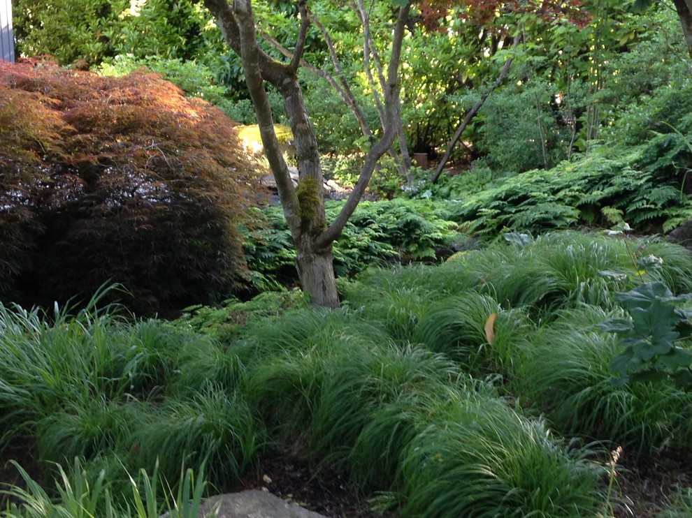 Immagine di un giardino formale tradizionale esposto a mezz'ombra di medie dimensioni e dietro casa in primavera con un ingresso o sentiero e pavimentazioni in pietra naturale