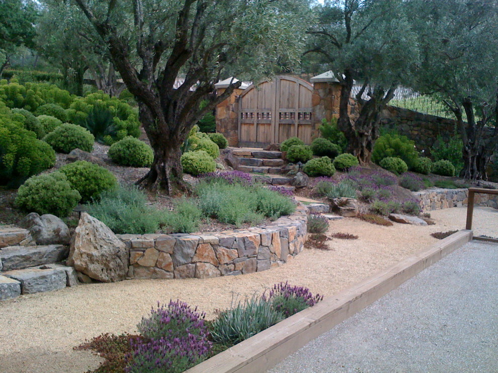 This is an example of a mid-sized modern partial sun hillside gravel retaining wall landscape in San Francisco.