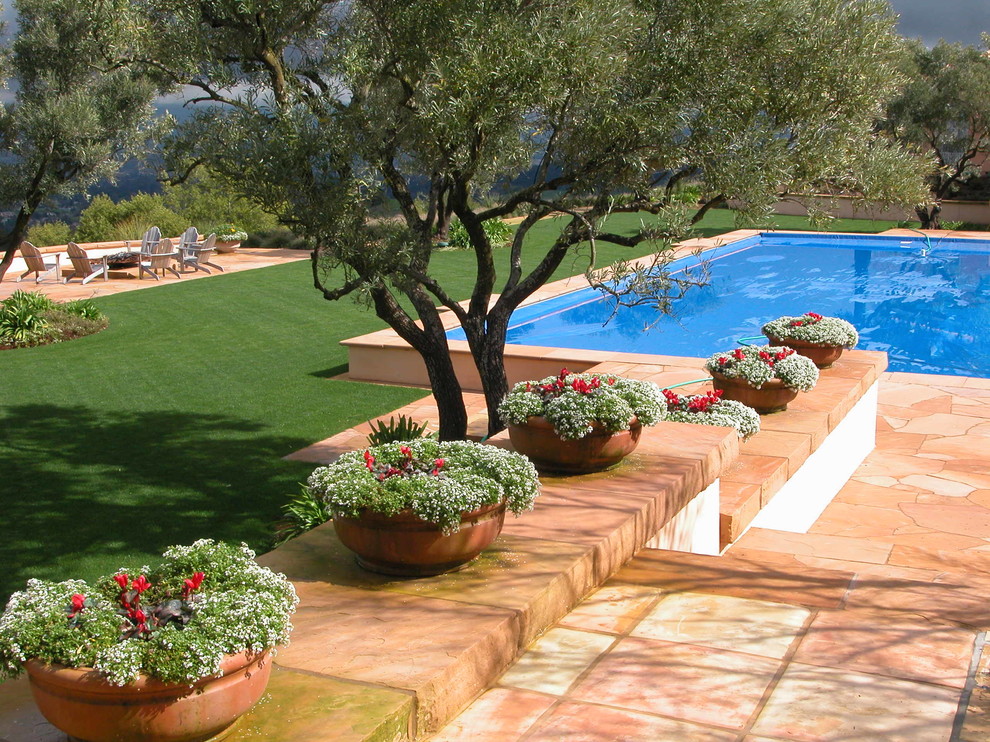 Diseño de jardín tradicional grande en verano en patio trasero con jardín de macetas, exposición total al sol y adoquines de piedra natural