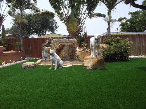 Two dogs in a dedicated dog area with artificial grass, a dog pool and large rocks to climb on. 