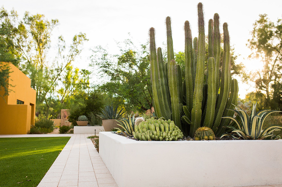 フェニックスにある高級な広いコンテンポラリースタイルのおしゃれな前庭 (ゼリスケープ、コンテナガーデン、日向、マルチング舗装) の写真
