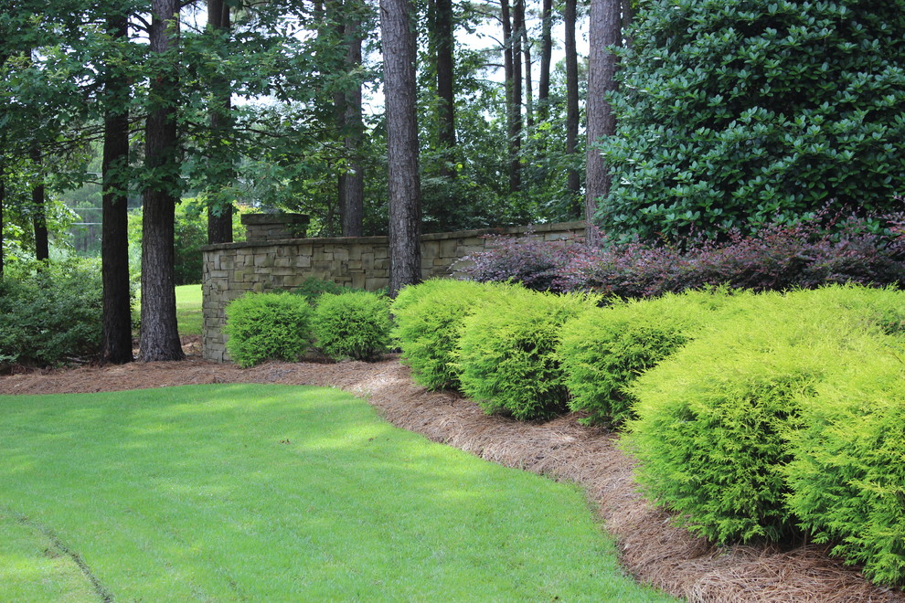 Design ideas for a landscaping in Jackson.