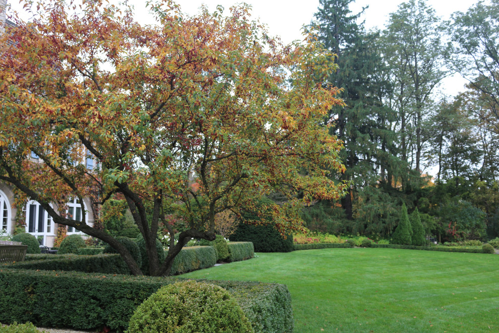 Ejemplo de jardín clásico de tamaño medio en otoño en patio trasero con exposición total al sol