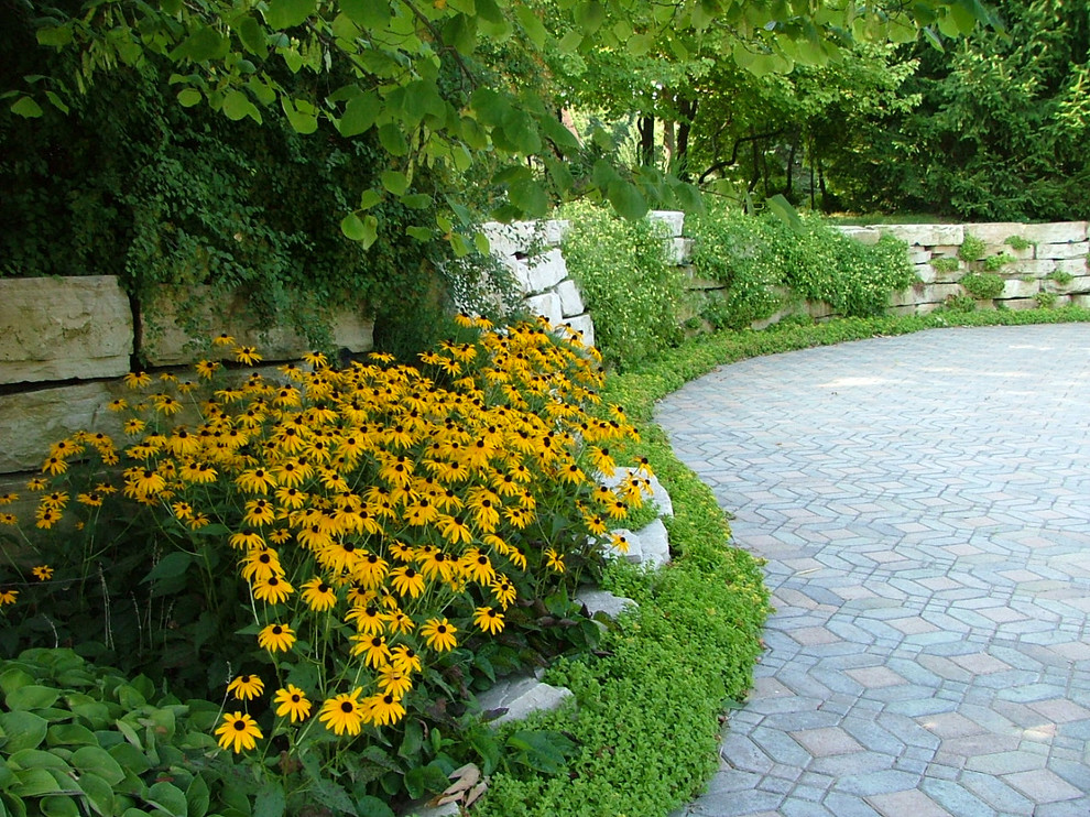 Пример оригинального дизайна: участок и сад в классическом стиле с подъездной дорогой и покрытием из каменной брусчатки