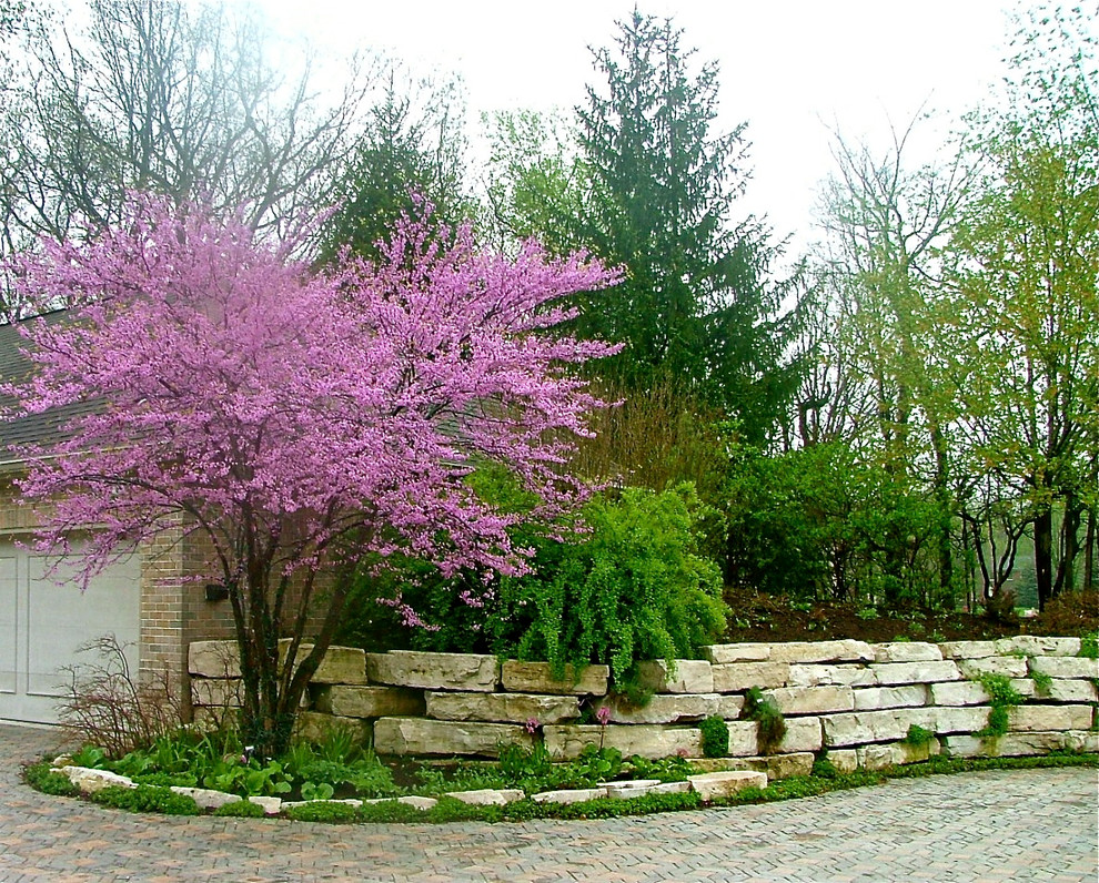 Klassischer Garten im Frühling, neben dem Haus in Indianapolis
