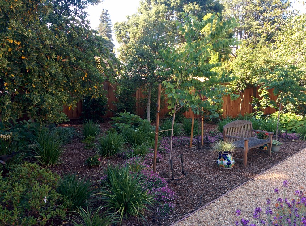 На фото: засухоустойчивый сад на заднем дворе в средиземноморском стиле с полуденной тенью и покрытием из гравия