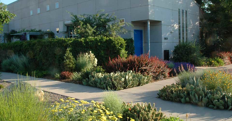 Idee per un giardino xeriscape stile americano di medie dimensioni e davanti casa con pavimentazioni in cemento