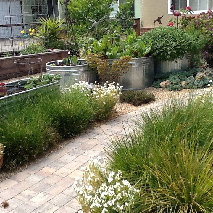 Идея дизайна: засухоустойчивый сад среднего размера на переднем дворе в стиле кантри с растениями в контейнерах, полуденной тенью и мощением тротуарной плиткой