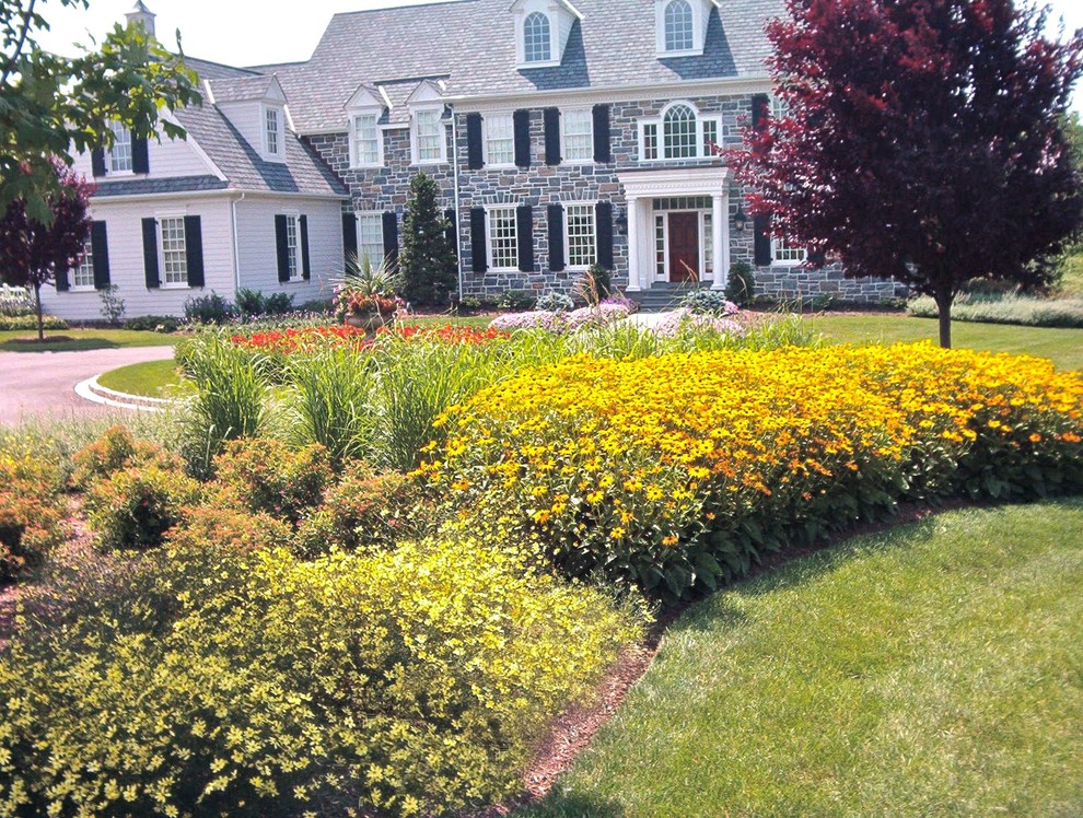 Источник вдохновения для домашнего уюта: большой регулярный сад на переднем дворе в стиле кантри с полуденной тенью