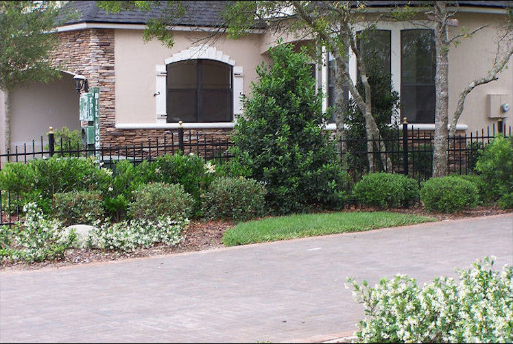 Residential Projects Traditional Landscape Jacksonville by