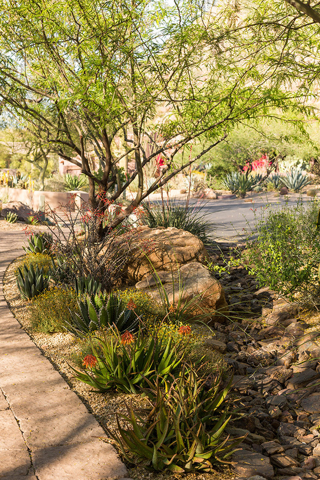 Foto di un grande giardino xeriscape classico esposto a mezz'ombra davanti casa in primavera con un ingresso o sentiero