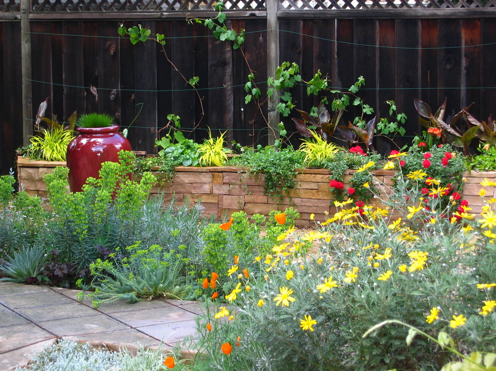 Cette image montre un jardin arrière design l'été avec un massif de fleurs.
