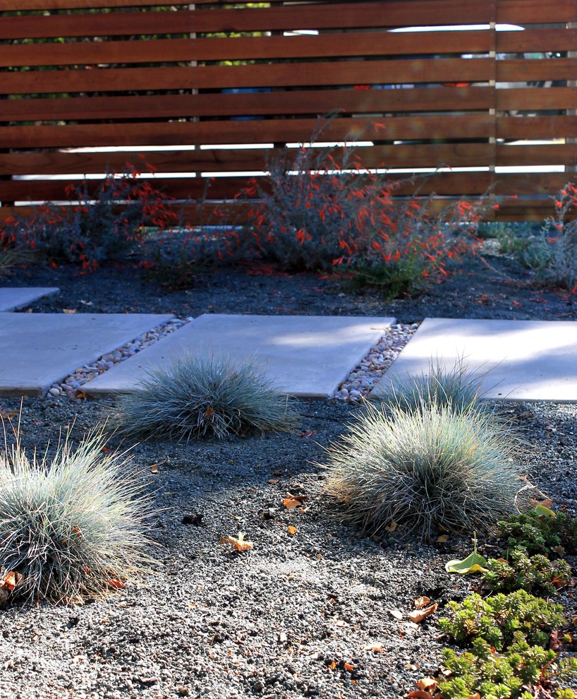 Esempio di un giardino xeriscape minimal in ombra di medie dimensioni e davanti casa con un ingresso o sentiero e pavimentazioni in cemento