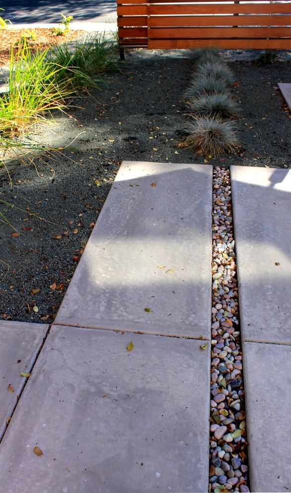 Idee per un giardino xeriscape design in ombra di medie dimensioni e davanti casa con un ingresso o sentiero e pavimentazioni in cemento