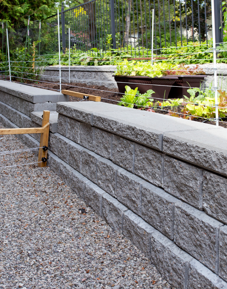 Photo of a mid-sized backyard retaining wall landscape in Toronto.