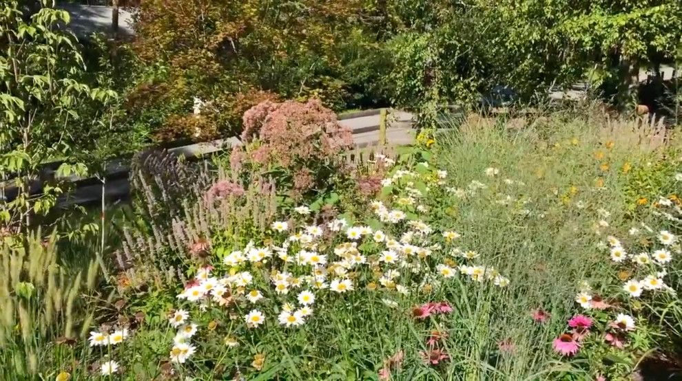 Idee per un giardino country