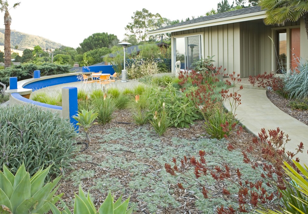 Photo of a contemporary backyard landscaping in San Luis Obispo.