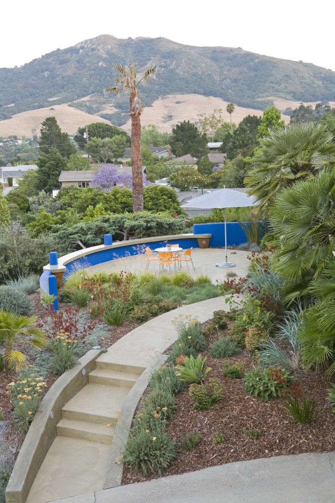 Immagine di un giardino contemporaneo esposto in pieno sole con un pendio, una collina o una riva e scale