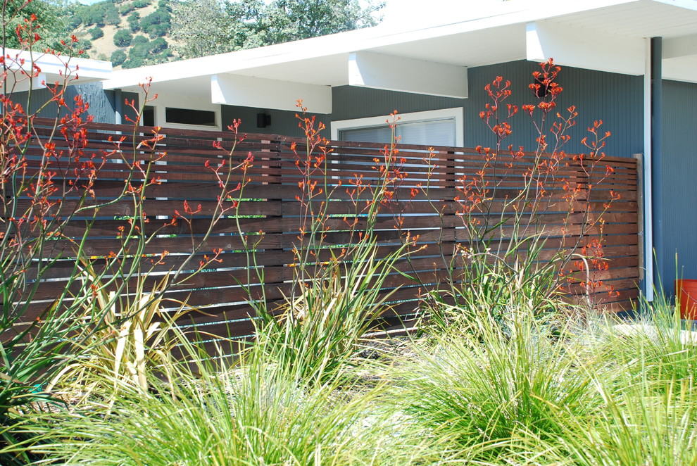 Idéer för mellanstora funkis trädgårdar i full sol framför huset, med en trädgårdsgång