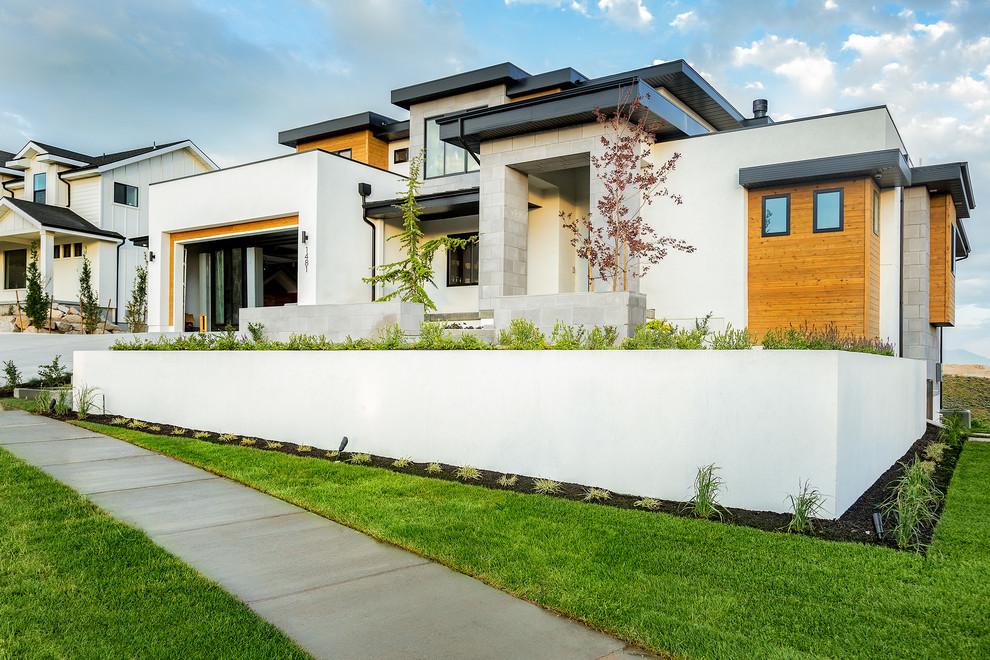 Ispirazione per un giardino minimalista davanti casa e di medie dimensioni con un muro di contenimento