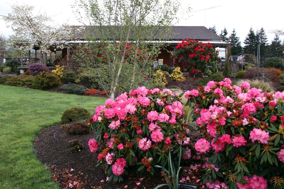 Inspiration for a traditional landscaping in San Francisco.