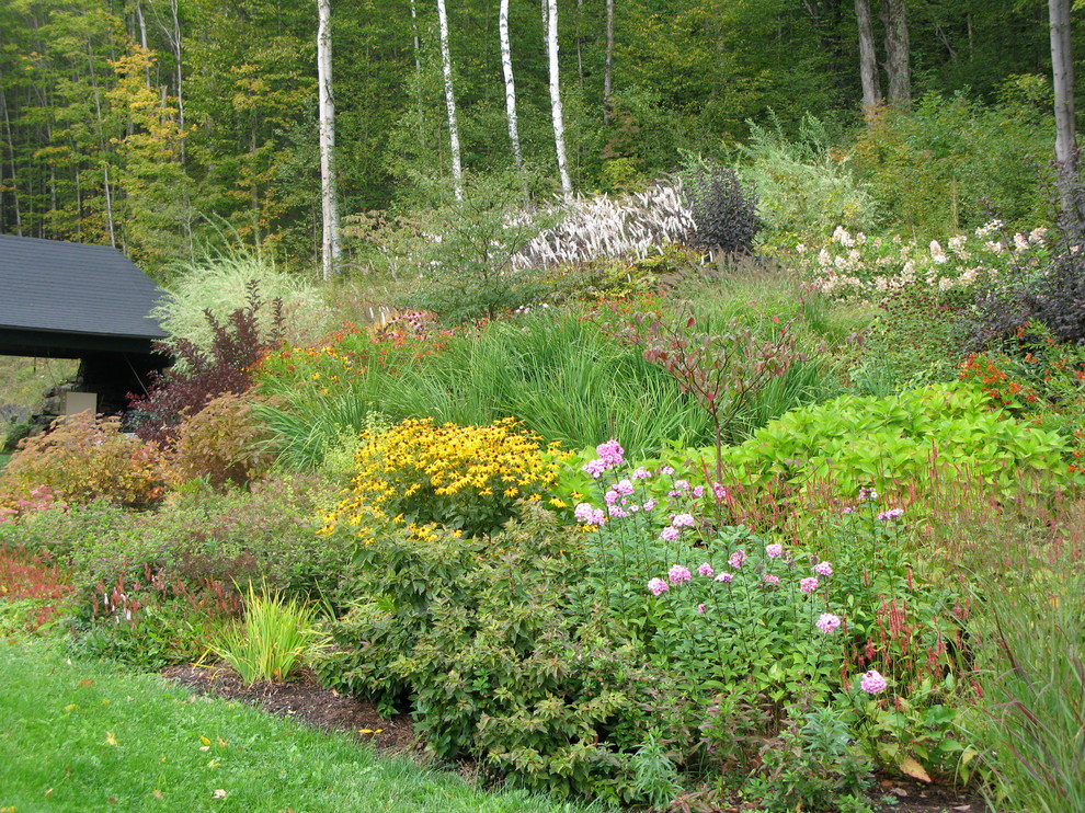 Пример оригинального дизайна: солнечный участок и сад среднего размера на заднем дворе в стиле фьюжн с хорошей освещенностью