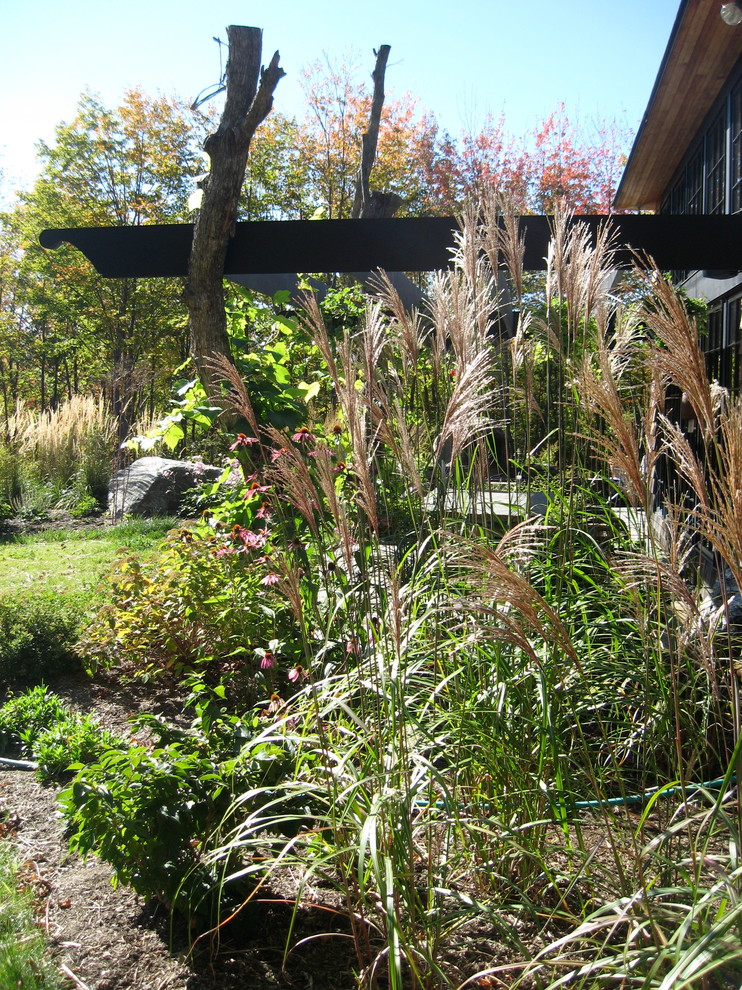Idee per un giardino eclettico esposto in pieno sole di medie dimensioni e dietro casa