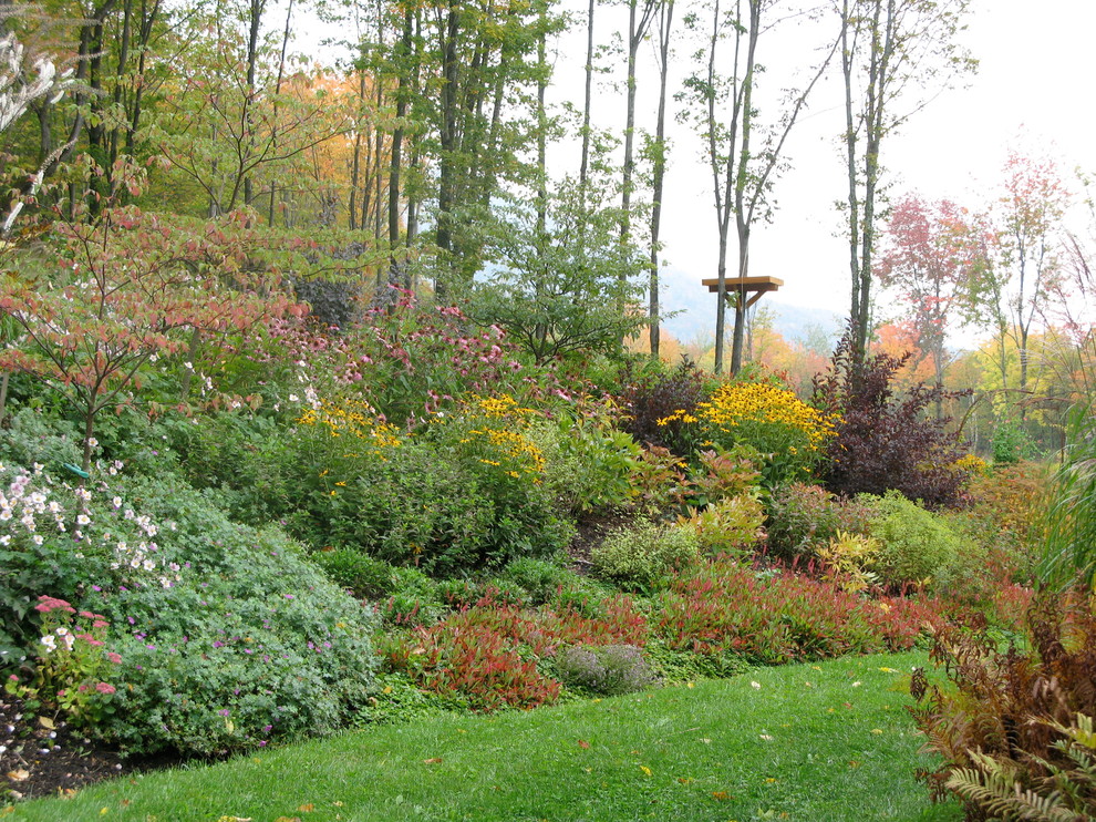 Design ideas for a mid-sized eclectic full sun backyard landscaping in Burlington.