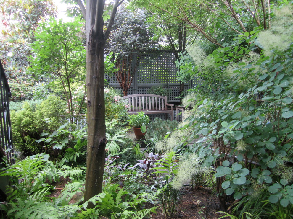 На фото: участок и сад среднего размера на заднем дворе в стиле неоклассика (современная классика) с полуденной тенью