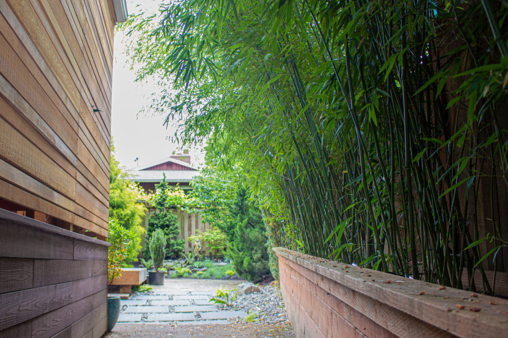 Immagine di un piccolo privacy in giardino etnico in ombra dietro casa in estate con pavimentazioni in cemento