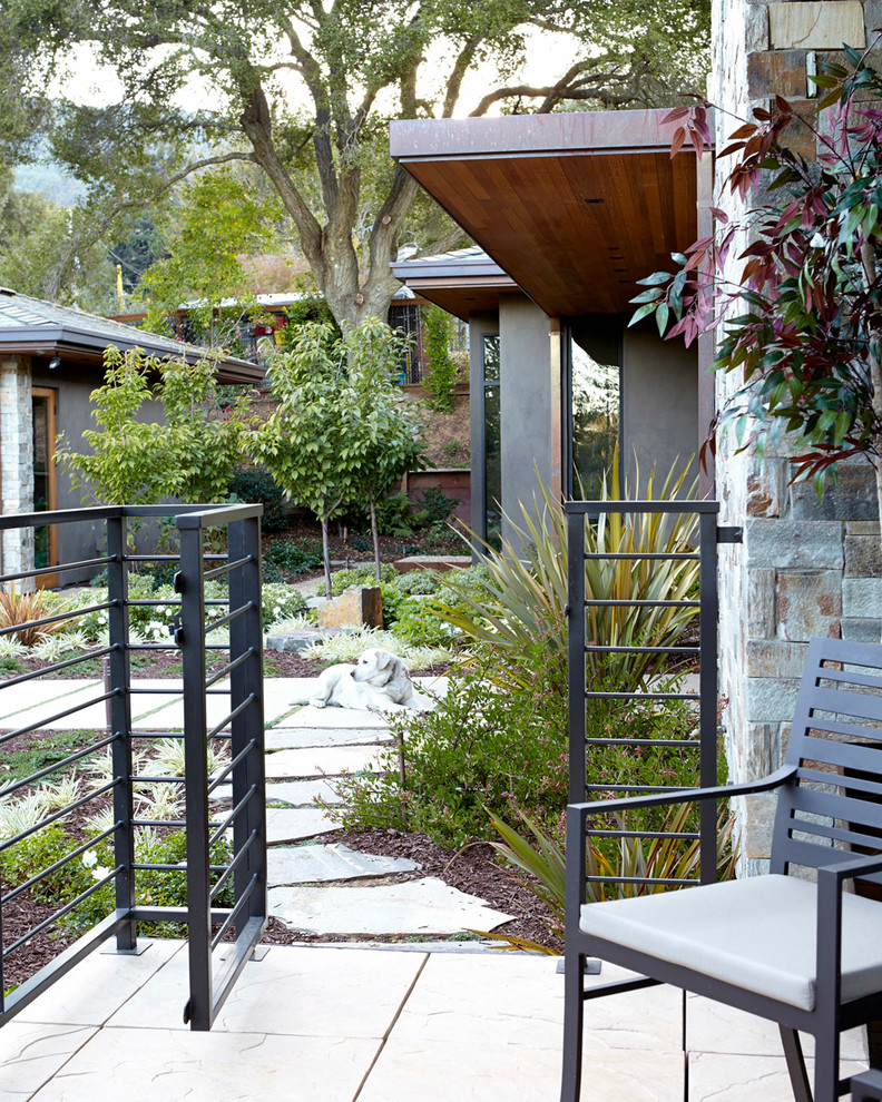 Geometrischer, Mittelgroßer Moderner Garten hinter dem Haus mit direkter Sonneneinstrahlung und Natursteinplatten in San Francisco