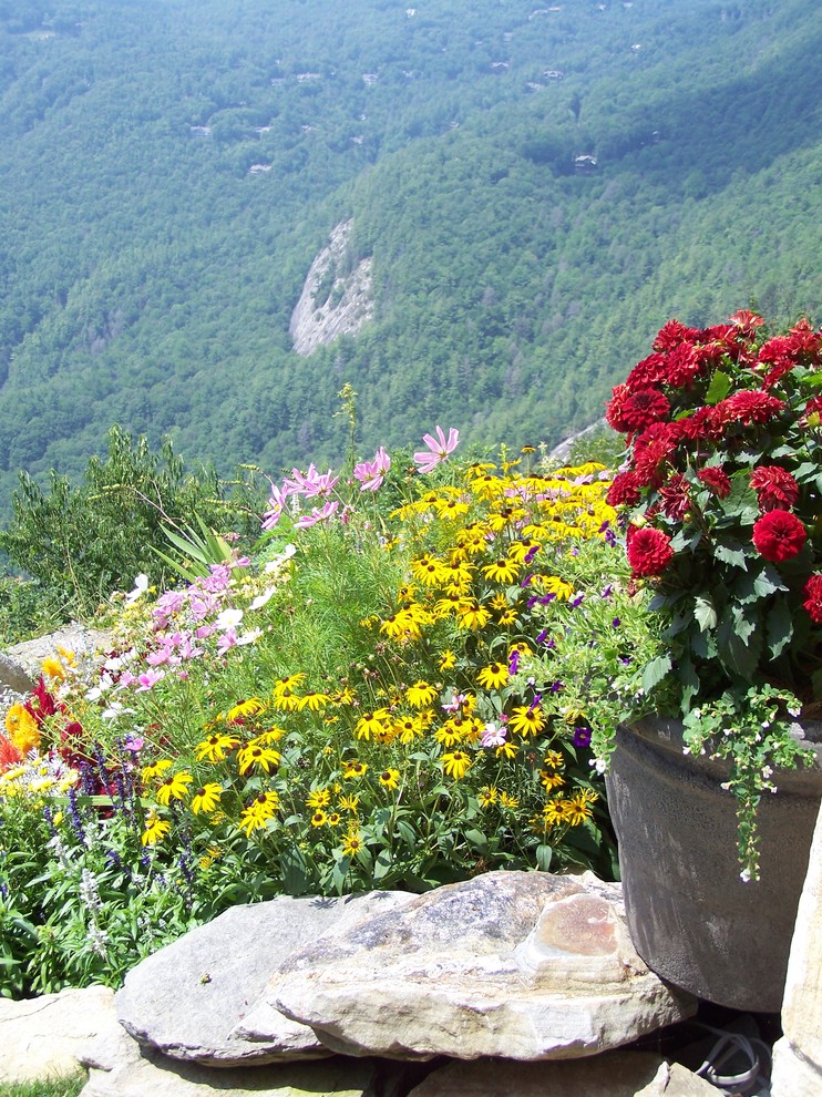 Exemple d'un jardin en pots arrière chic l'été avec une exposition ensoleillée et des pavés en pierre naturelle.