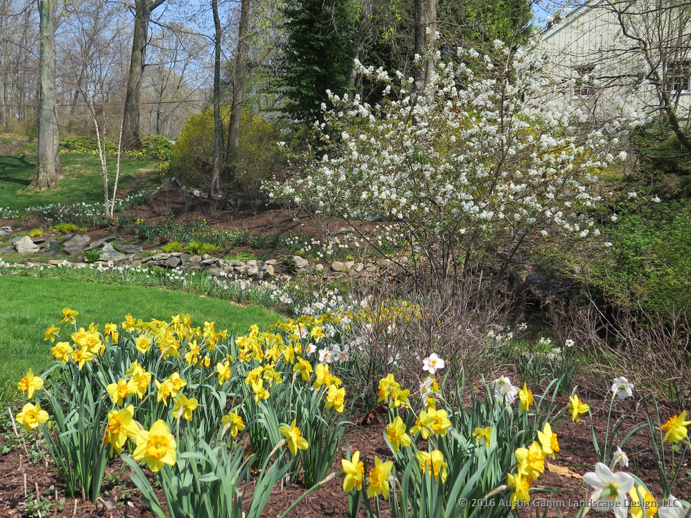 Ispirazione per un giardino country esposto a mezz'ombra nel cortile laterale in primavera