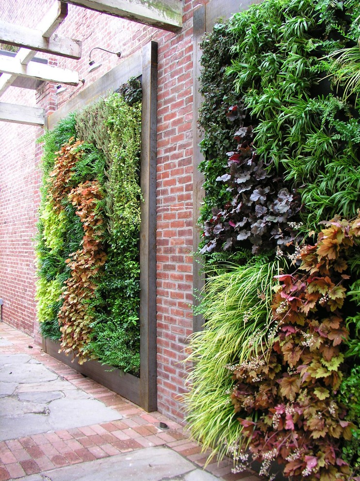 Contemporary garden in Philadelphia with a living wall.