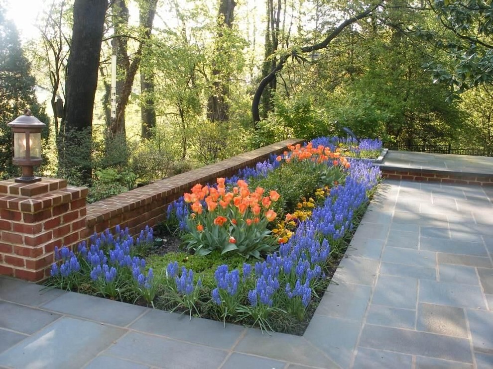 Foto di un grande giardino davanti casa con un ingresso o sentiero