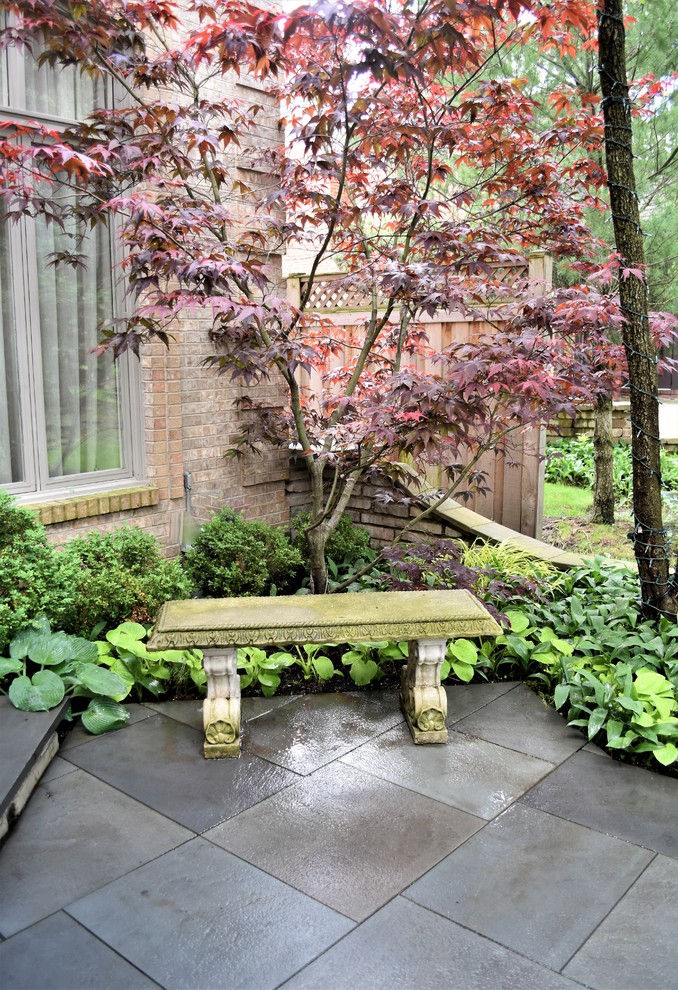 Idee per un giardino formale contemporaneo in ombra di medie dimensioni e in cortile in estate con un ingresso o sentiero e pavimentazioni in pietra naturale
