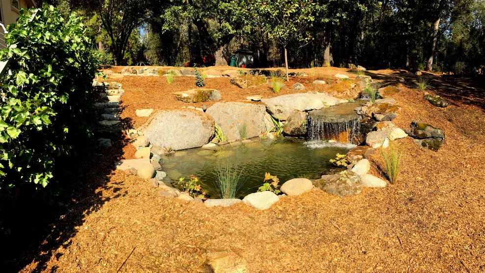 Photo of a large rustic sloped xeriscape partial sun garden for summer in Sacramento with a pond and gravel.