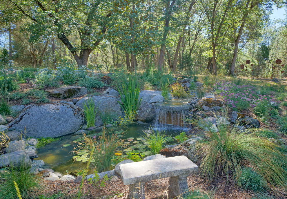 Design ideas for a large rustic drought-tolerant and partial sun hillside gravel pond in Sacramento for spring.