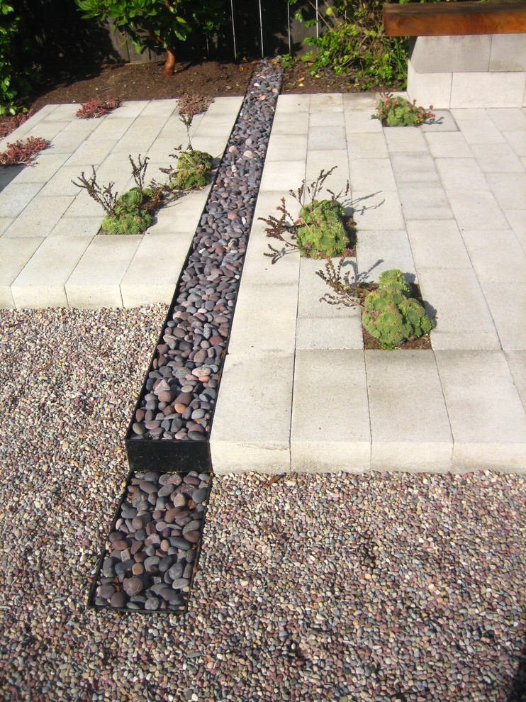 This is an example of a small contemporary full sun backyard gravel landscaping in San Francisco.